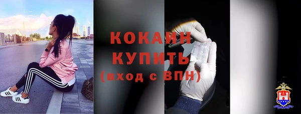 кокс Бородино