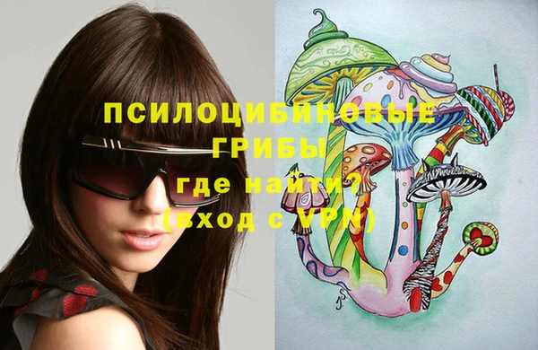 кокс Бородино